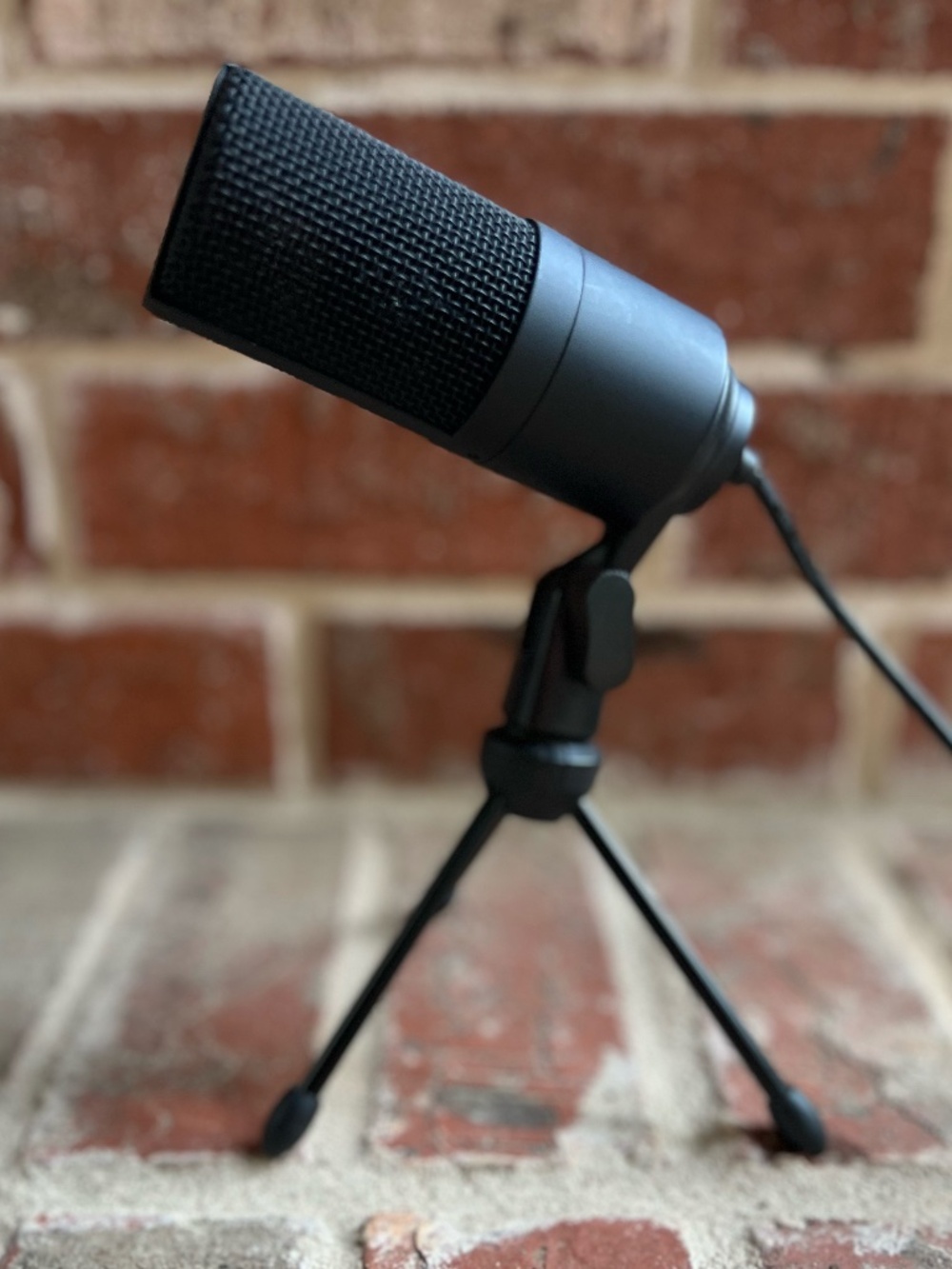 Microphone - Picture 2 of 3